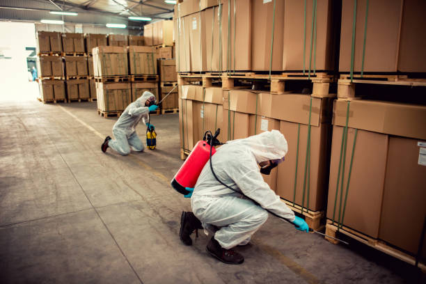 Best Local Pest Control Services  in Wautoma, WI