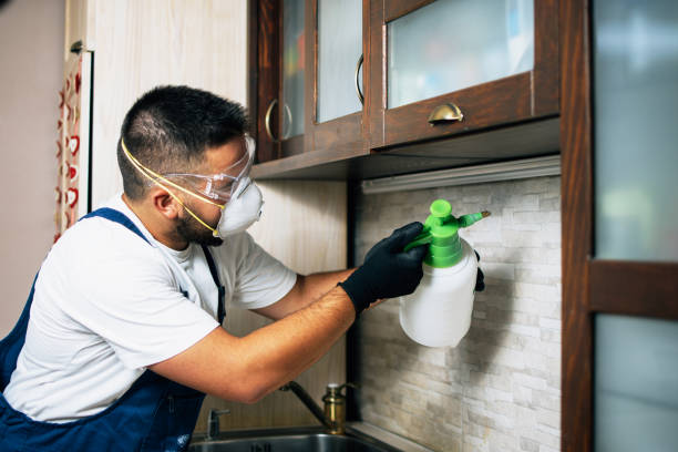 Best Affordable Pest Control Services  in Wautoma, WI