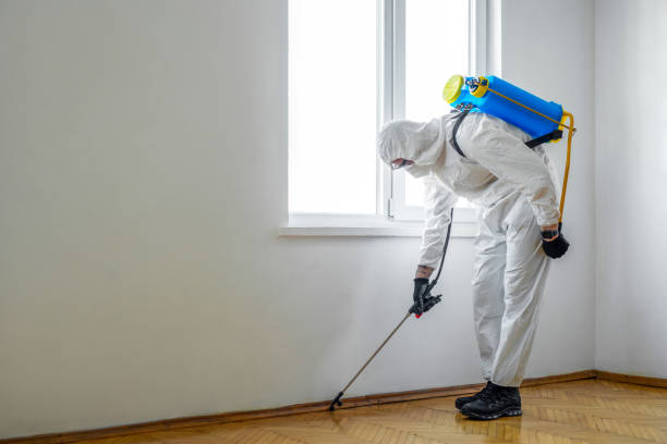 Best Commercial Pest Control Services  in Wautoma, WI