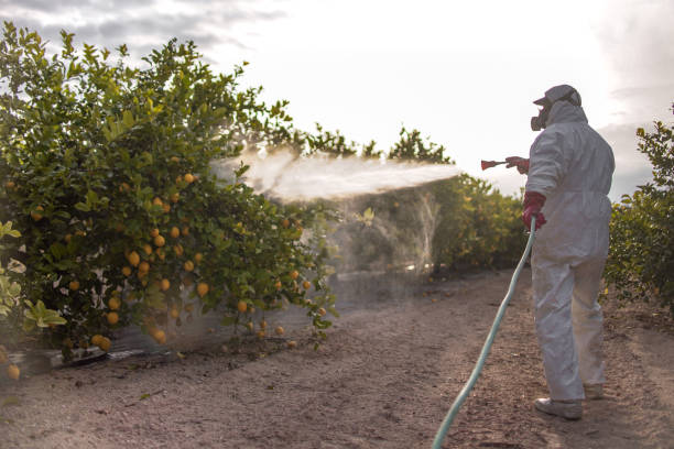 Trusted Wautoma, WI Pest Control Experts