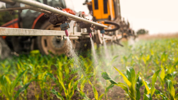 Best Affordable Exterminators  in Wautoma, WI