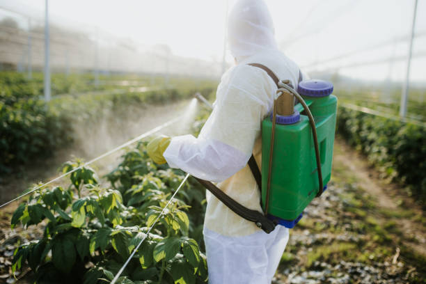 Best Mosquito Control Services  in Wautoma, WI